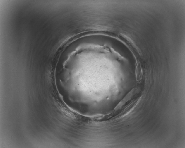 X0000071331163200606261239