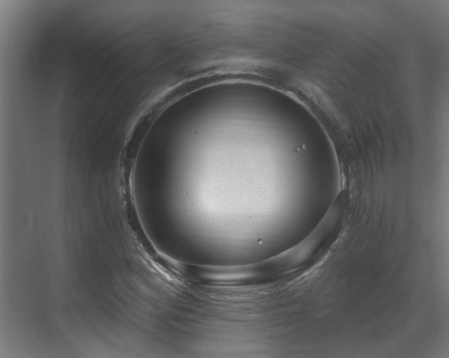 X0000071331164200606261239