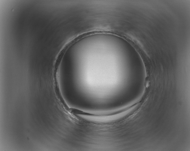 X0000071331168200606261239