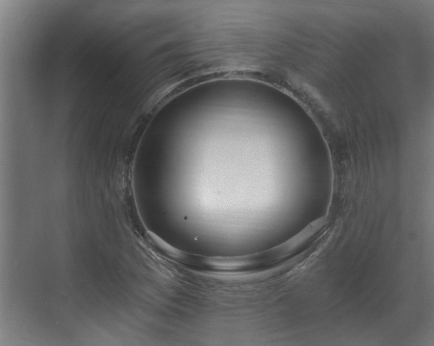 X0000071331169200606261239