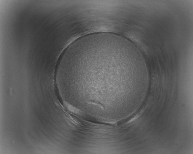 X0000071331170200606261239