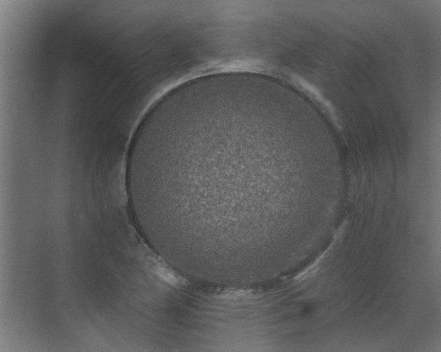 X0000071331174200606261239