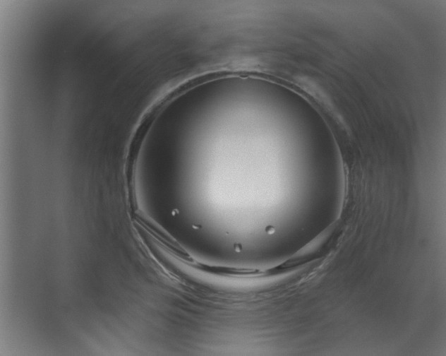 X0000071331176200606261239