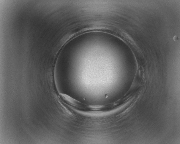 X0000071331177200606261239