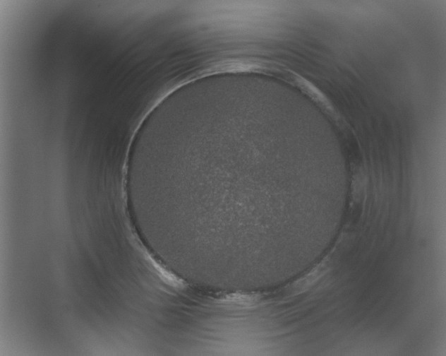 X0000071331178200606261239