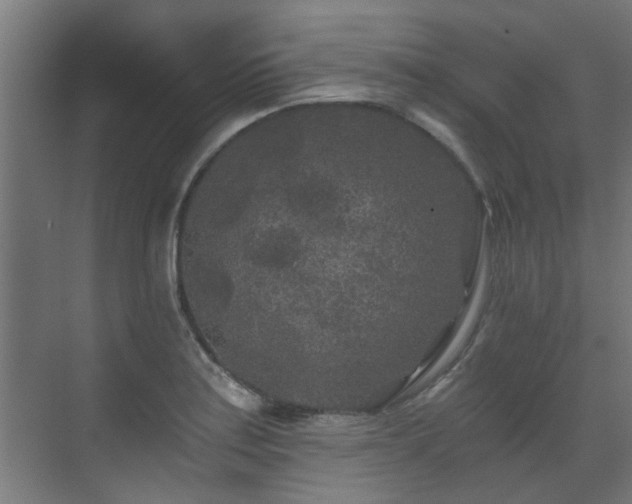 X0000071331179200606261239