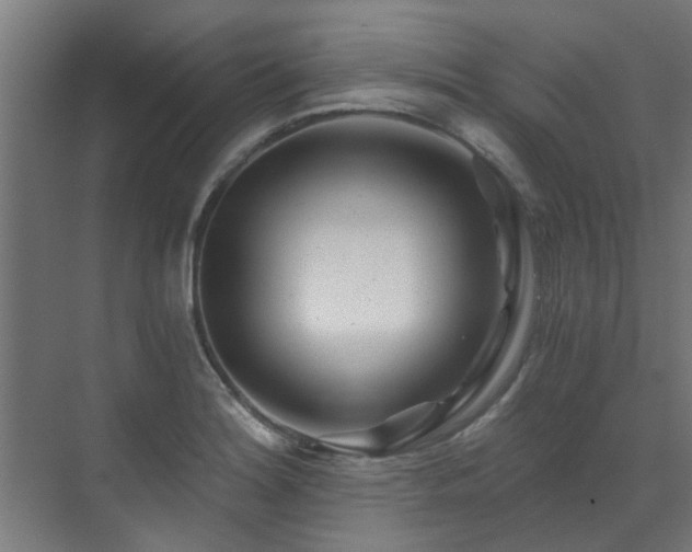 X0000071331180200606261239