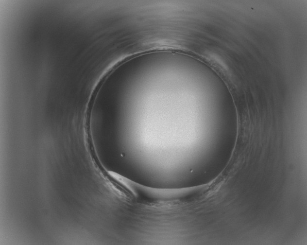 X0000071331182200606261239