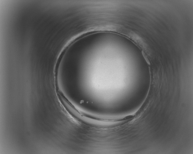 X0000071331184200606261239