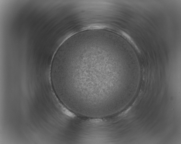 X0000071331186200606261239