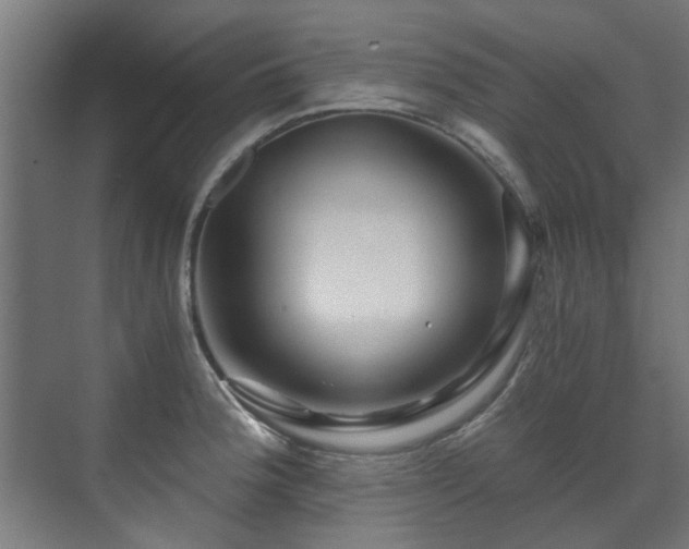 X0000071331188200606261239