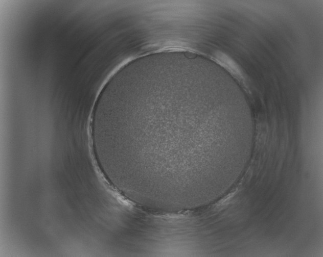 X0000071331190200606261239