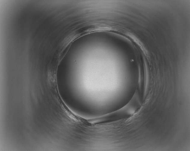 X0000071331193200606261239