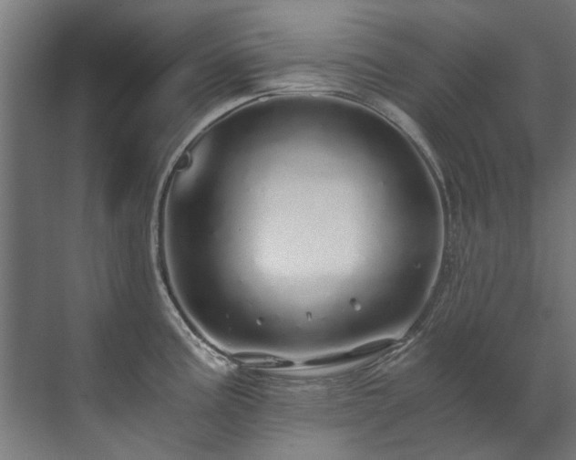 X0000071331195200606261239