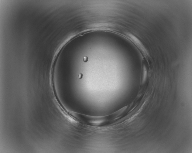 X0000071331196200606261238