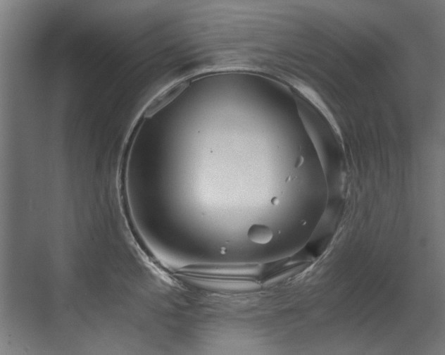 X0000071331197200606261238