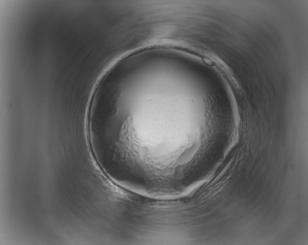 X0000071331199200606261238