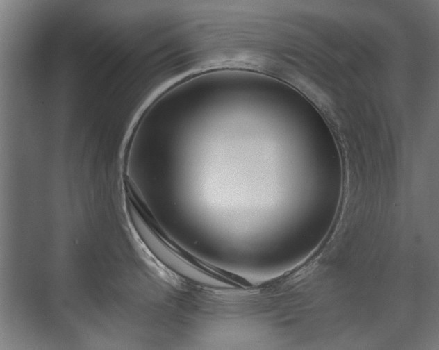 X0000071331200200606261238