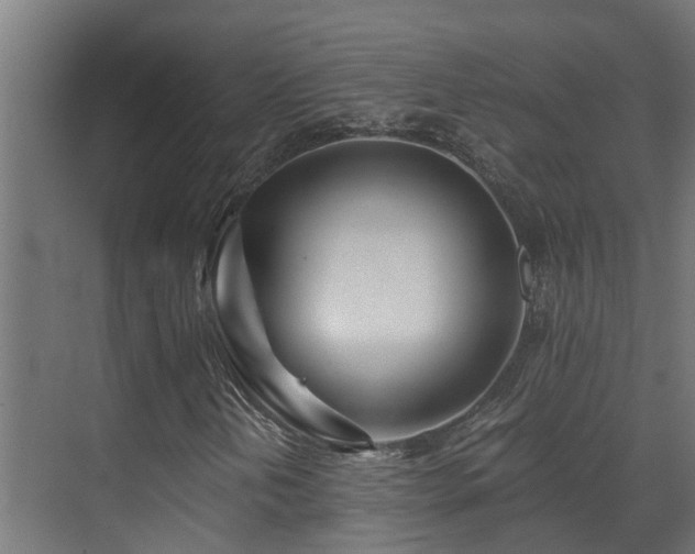 X0000071331202200606261238