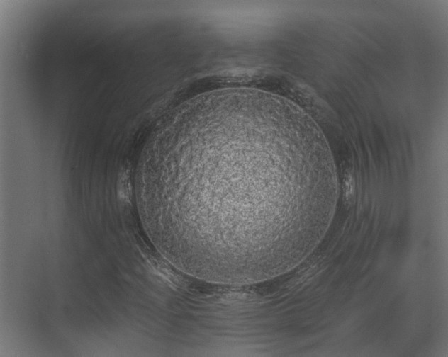 X0000071331204200606261238