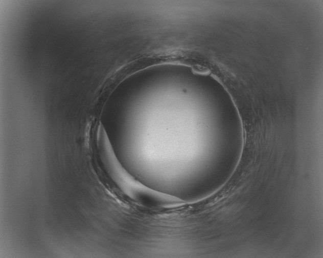 X0000071331206200606261238