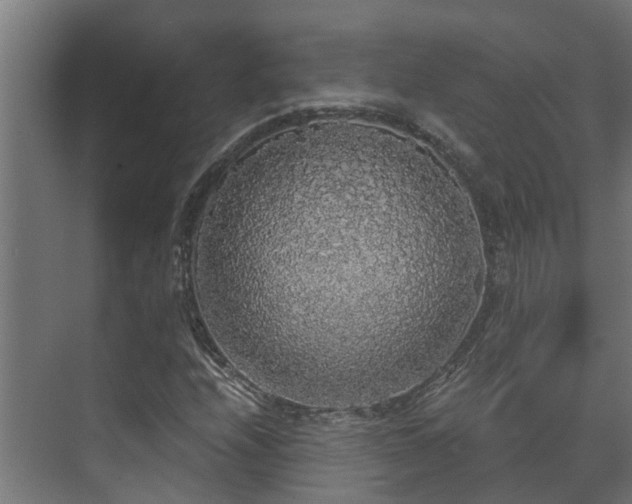 X0000071331208200606261238