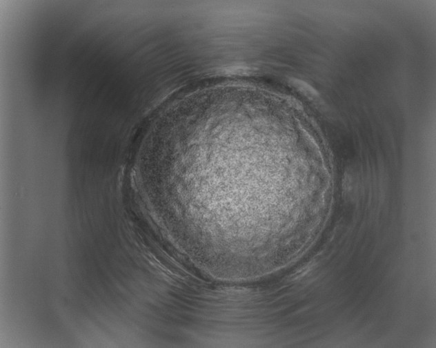 X0000071331209200606261238