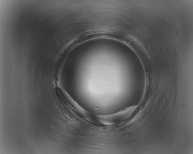 X0000071331210200606261238