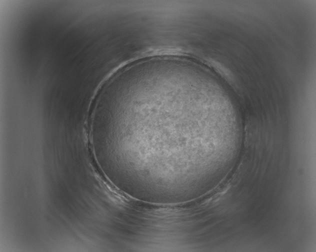 X0000071331212200606261238