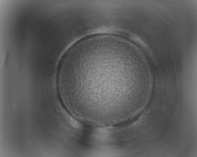 X0000071331216200606261238