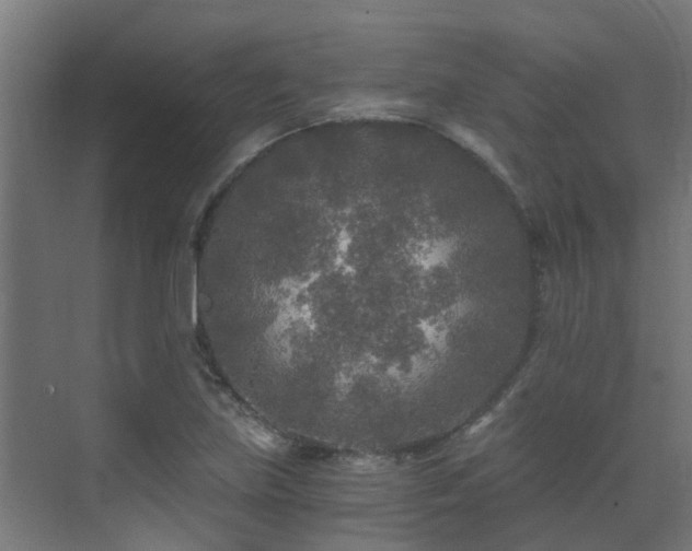 X0000071331219200606261238