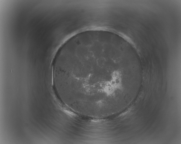 X0000071331223200606261238