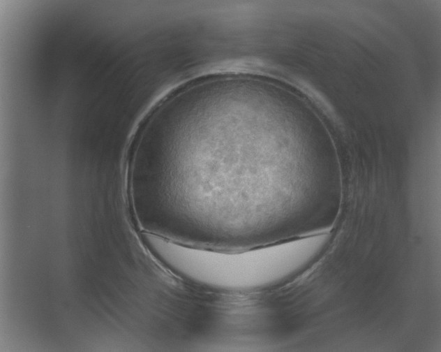 X0000071331224200606261238