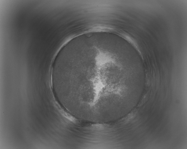 X0000071331227200606261238