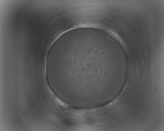 X0000071331228200606261238