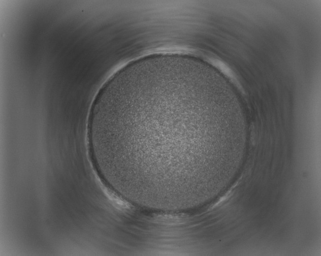 X0000071331229200606261238