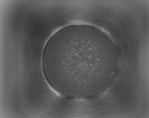 X0000071331231200606261238