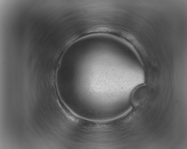 X0000071331233200606261238