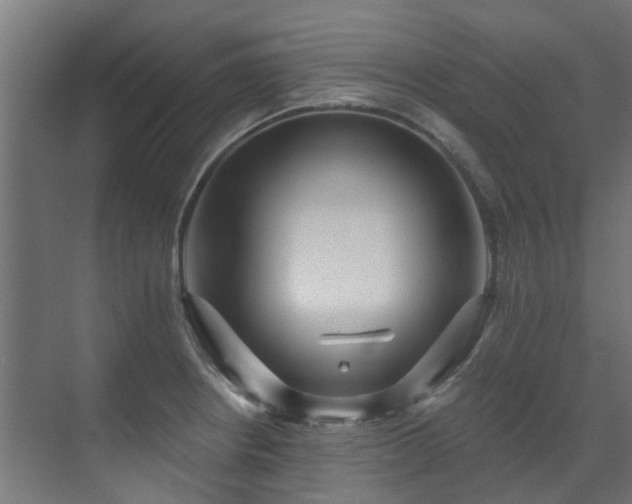 X0000071331234200606261238