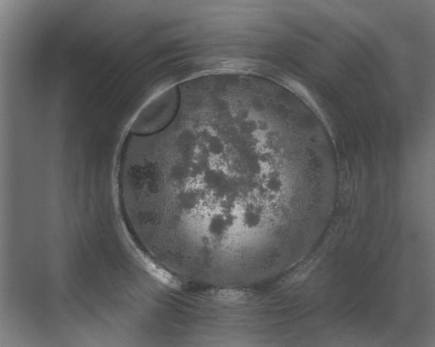 X0000071331235200606261238