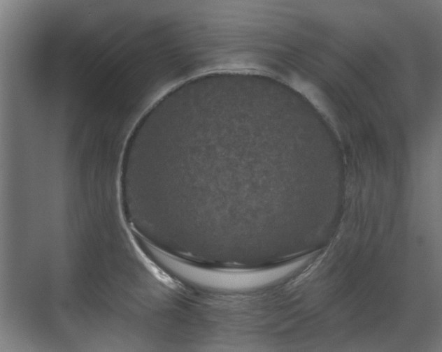 X0000071331237200606261238