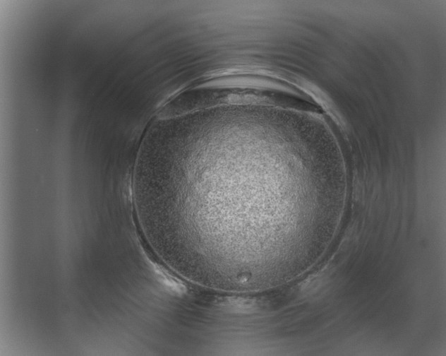 X0000071331241200606261238