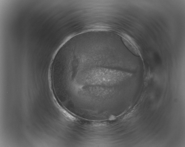 X0000071331243200606261238