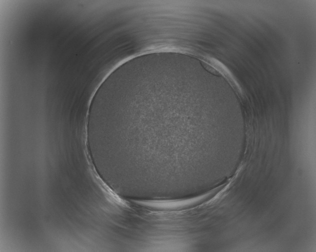 X0000071331244200606261238