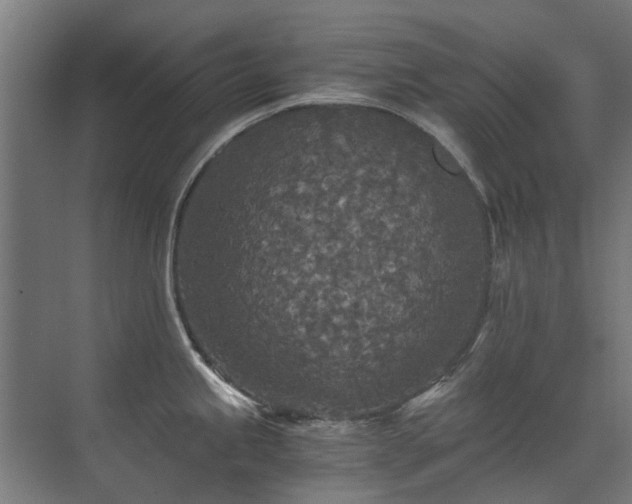 X0000071331245200606261238