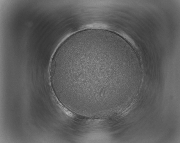 X0000071331248200606261238