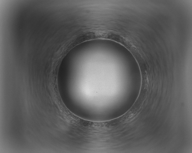 X0000071331249200606261238