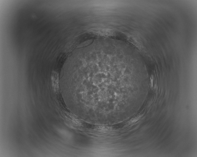 X0000071331251200606261238