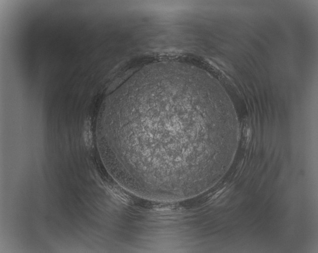 X0000071331252200606261238