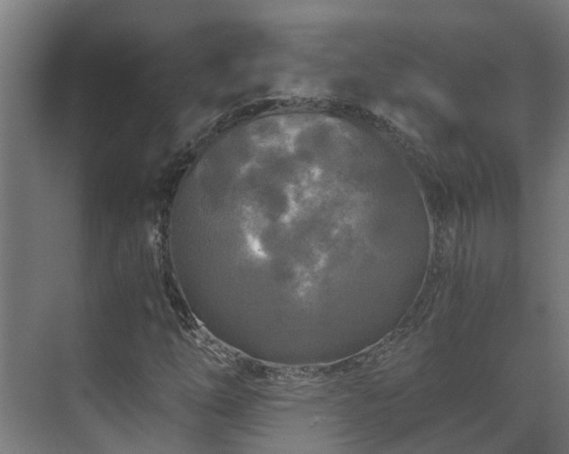 X0000071331254200606261238